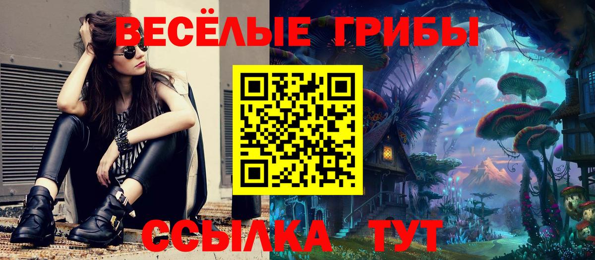 Псилоцибиновые грибы GOLDEN TEACHER  Псилоцибиновые грибы Psilocybe  Мценск  Вход с VPN 